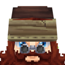 Previous skin