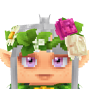 Previous skin