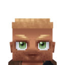 Previous skin