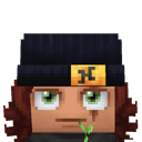 Previous skin