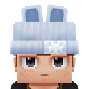 Previous skin