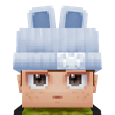 Previous skin
