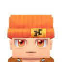 Previous skin