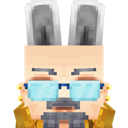 Previous skin