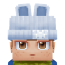 Previous skin