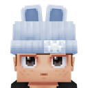 Previous skin